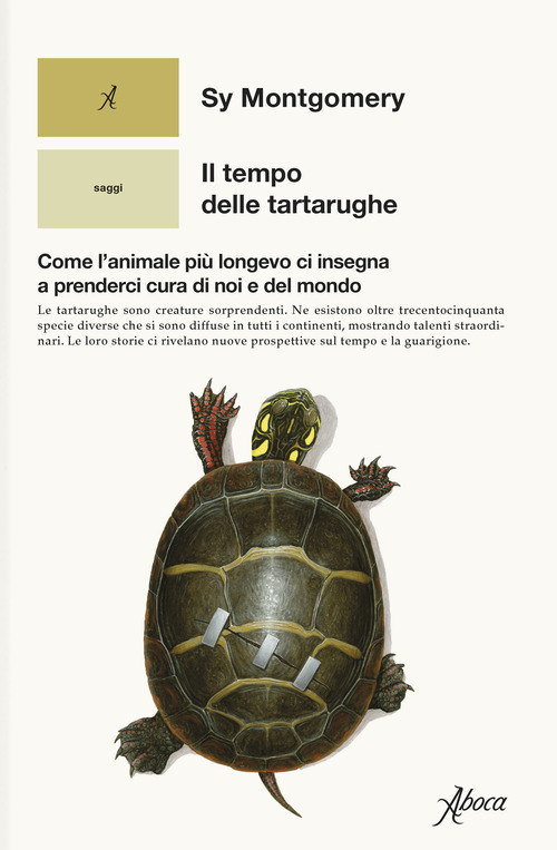 Il tempo delle tartarughe. Come l’animale più longevo ci insegna a prenderci cura di noi e del mondo